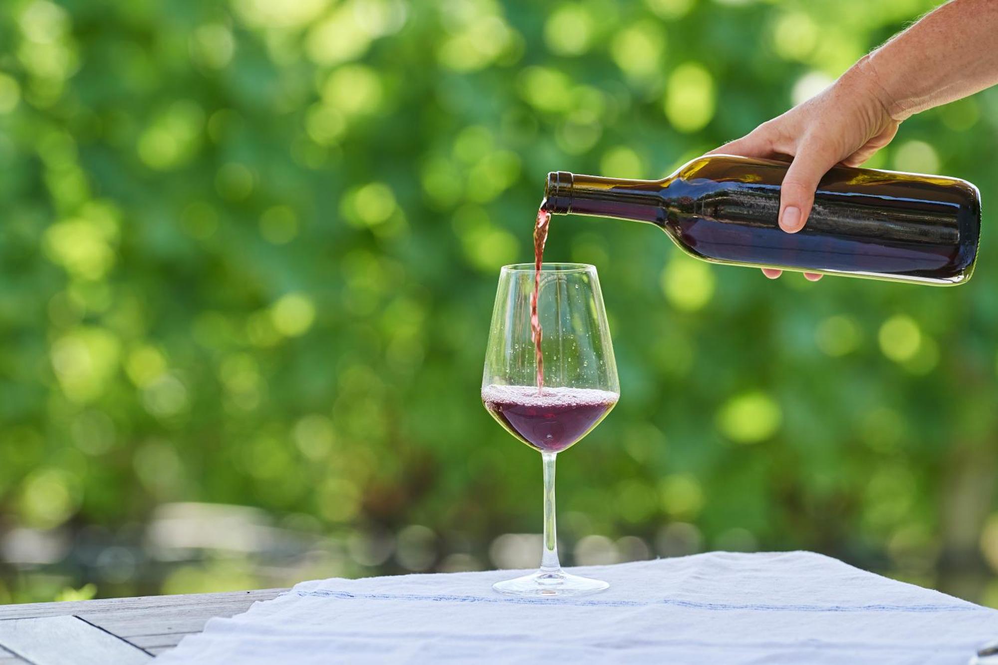 Apartament Weingut Stuck Appiano Sulla Strada Del Vino Zewnętrze zdjęcie