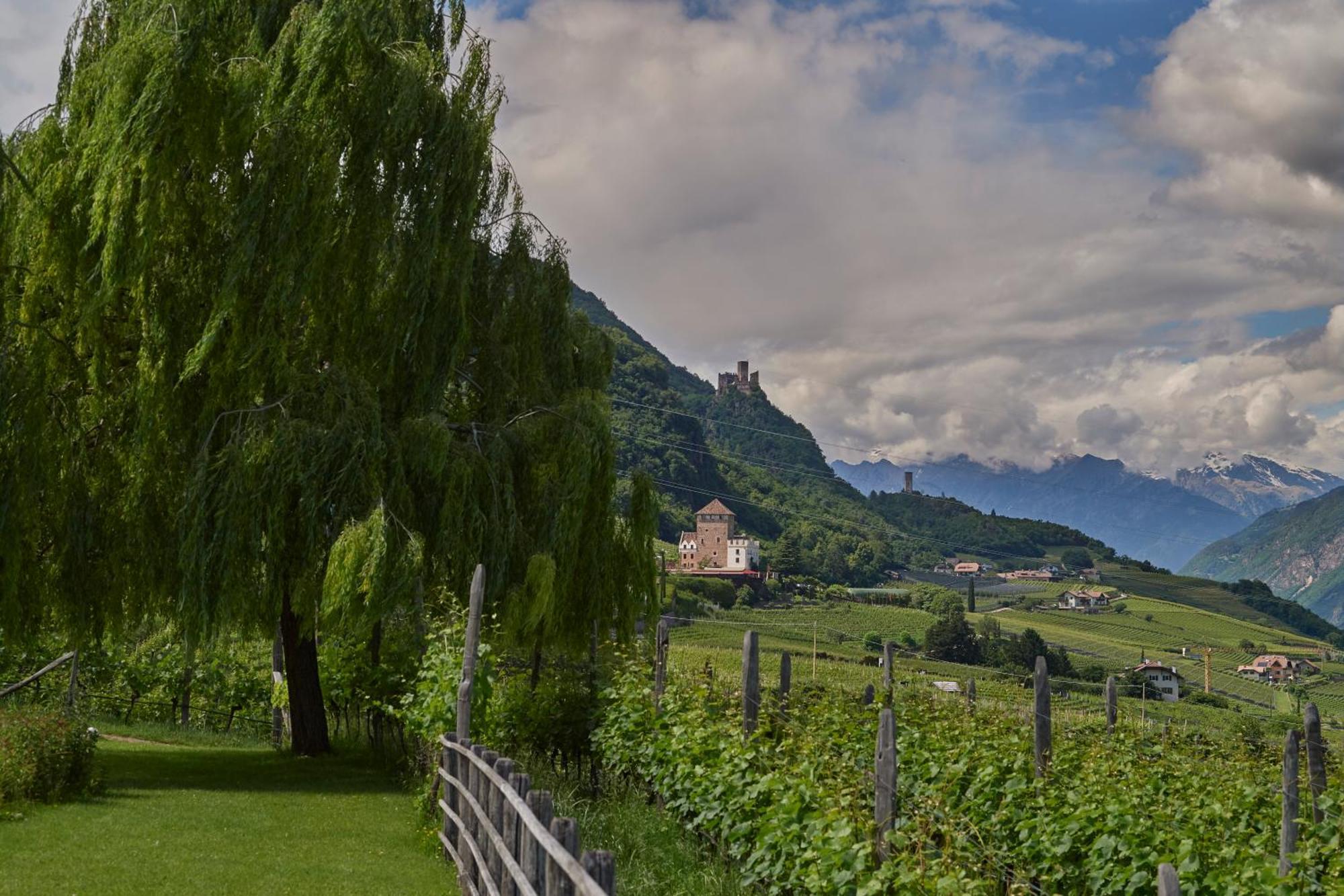 Apartament Weingut Stuck Appiano Sulla Strada Del Vino Zewnętrze zdjęcie