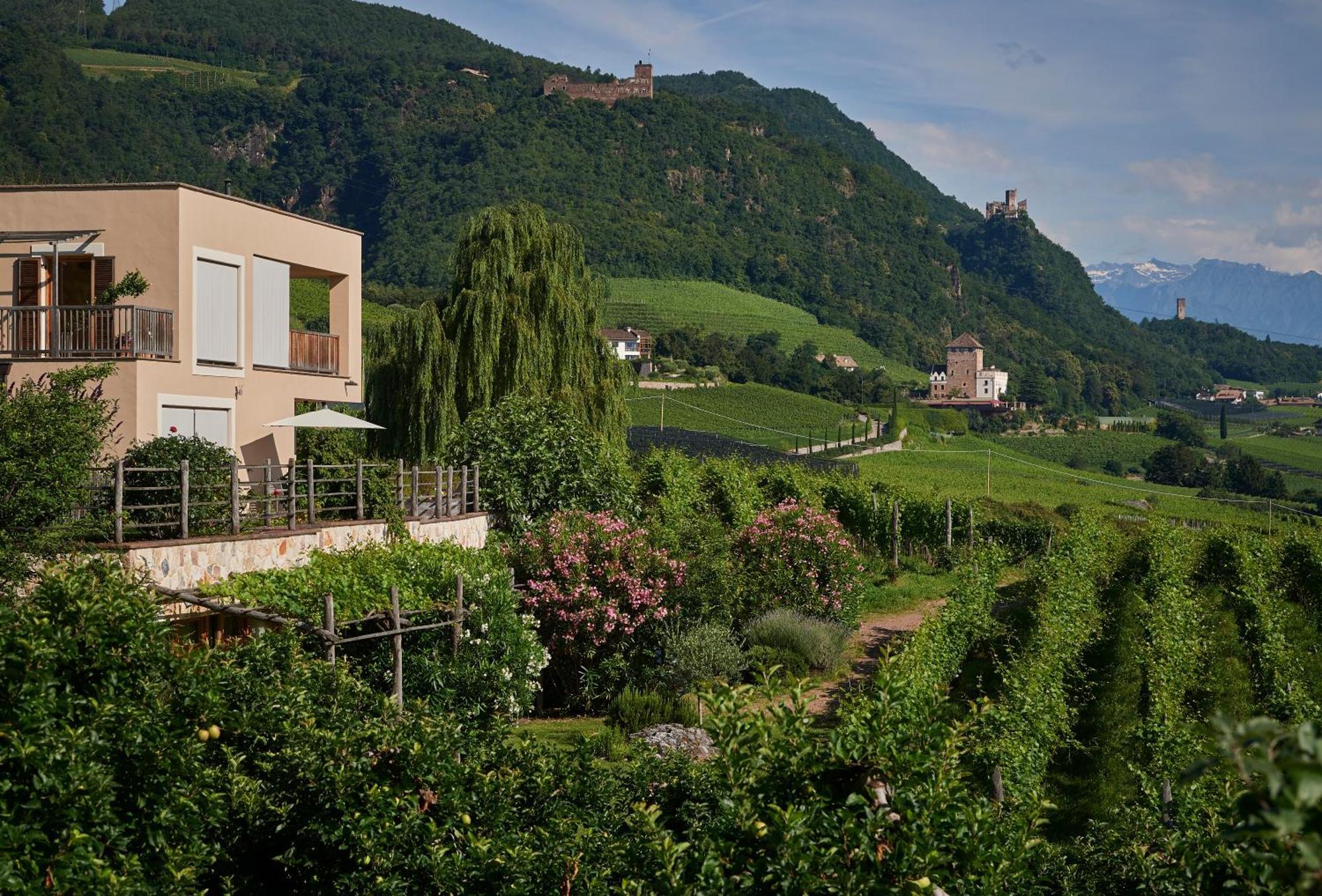 Apartament Weingut Stuck Appiano Sulla Strada Del Vino Zewnętrze zdjęcie