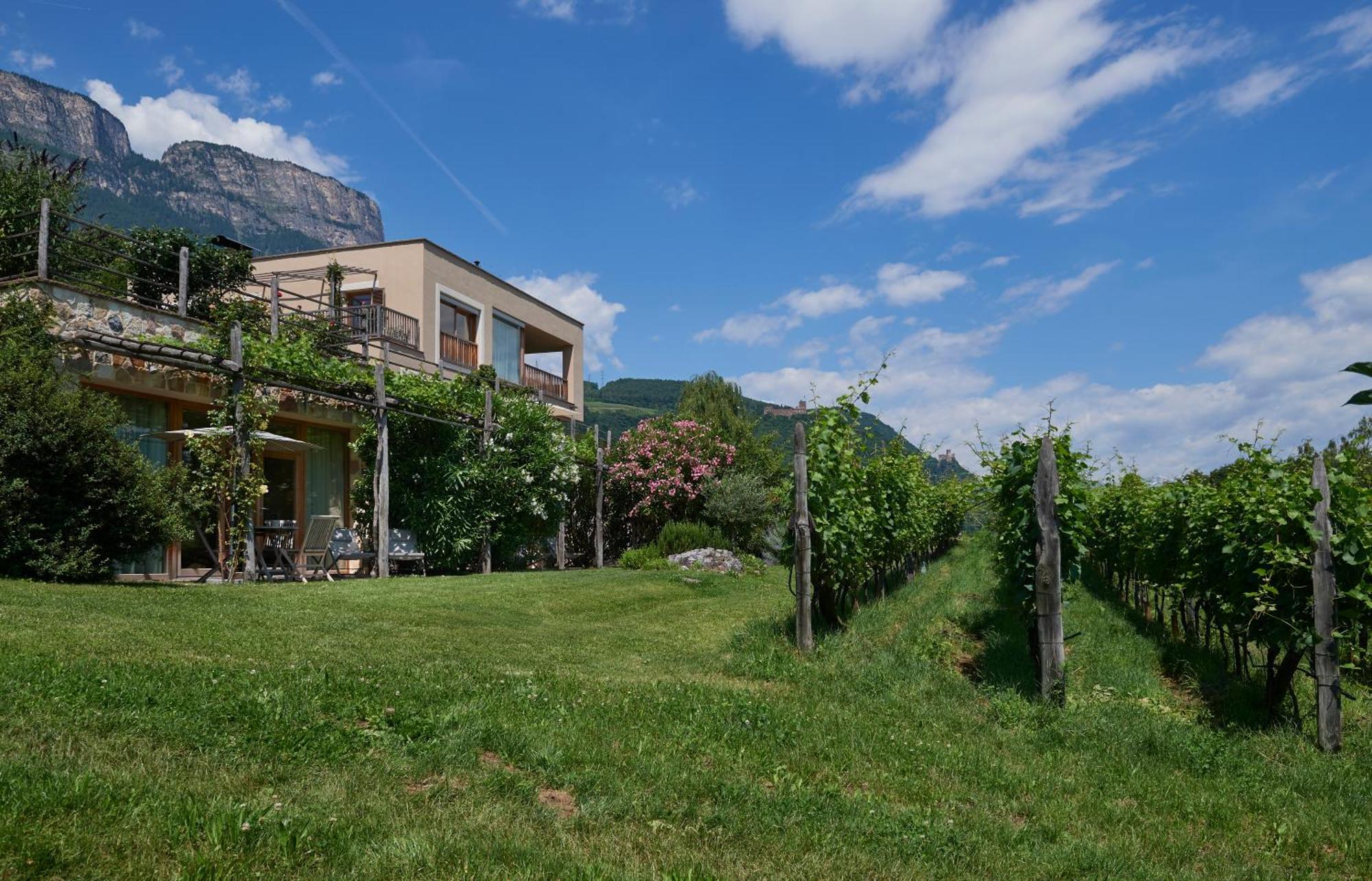 Apartament Weingut Stuck Appiano Sulla Strada Del Vino Zewnętrze zdjęcie