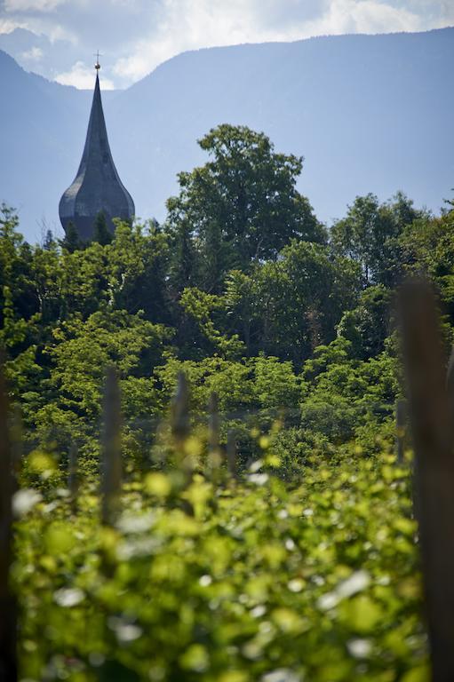 Apartament Weingut Stuck Appiano Sulla Strada Del Vino Zewnętrze zdjęcie